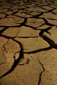 A Ong Charity Water trabalha para levar água a quem não tem acesso 