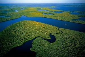 Imagem do Rio Amazonas