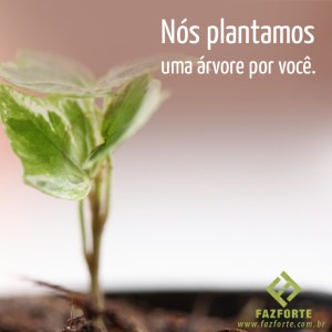 Campanha promove plantio de árvores